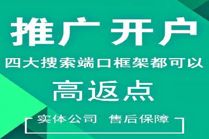 竞价广告投放策略，代运营公司的成功实践